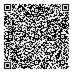 Blumetric Environmental Inc QR Card