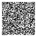 Document Security Systems Ltd QR Card