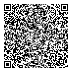 Dillon Consulting Ltd QR Card