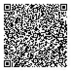 Discovery Mining Services Ltd QR Card