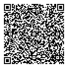 Shoe Box Ltd QR Card