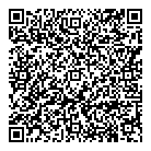 Back Alley Music QR Card