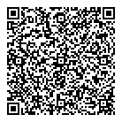 Digiboyz Inc QR Card