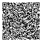 Silver Silk QR Card