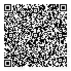 Pevtro Consulting QR Card