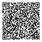 Luedey Consultants QR Card