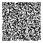 Village Green Motor Car Co Ltd QR Card