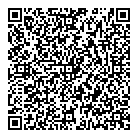 Vericipher Consulting QR Card