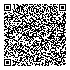 Diesel  Auto Electric Ltd QR Card