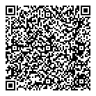 Mnp LLP QR Card