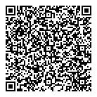 Speedy Auto Services QR Card