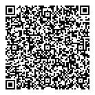 Northern Lights QR Card