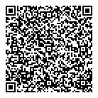 Publow Consulting QR Card