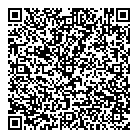 B  B Art Of Germany QR Card