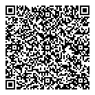 Hollis Ford Inc QR Card