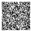 Blink Optical QR Card