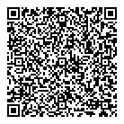 Viz Auto House Ltd QR Card