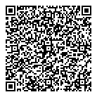 Baylaan Technolgies QR Card