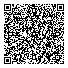 Domain Contracting Inc QR Card