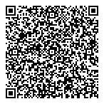 V N Accounting Solutions QR Card