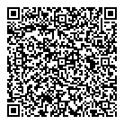 Amigo Auto Quik Fix QR Card