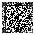 Laser Play Inc QR Card