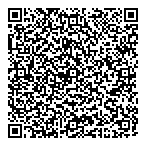 All Link Travel Services QR Card
