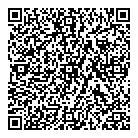 Platinum Detailing QR Card