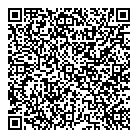 Insureit Group Inc QR Card