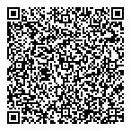 Broadcast Video Systems Ltd QR Card