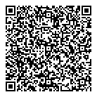 Dorking Group Inc QR Card