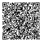 Toronto Venture Group QR Card