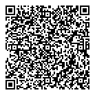 Burdin's Comics QR Card