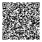 Dxstorm.com Inc QR Card