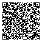 Mnp LLP QR Card