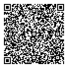 Gis Small Store QR Card