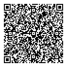 E Lumen Intl Inc QR Card