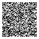 Thehandyboydz QR Card