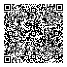 Accounting Solutions Co QR Card