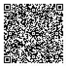 Borlase Systems Inc QR Card