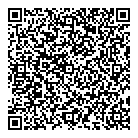 Dmr Cargo Intl Inc QR Card