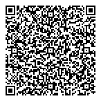 Aace Financial Services Ltd QR Card