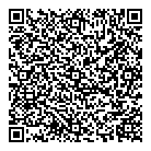 Viking Shop QR Card