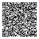 Vivid Concept QR Card