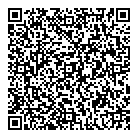 Perle Systems Ltd QR Card