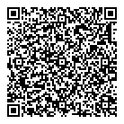 Vsf Consulting Inc QR Card