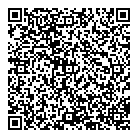 Microview Systems QR Card