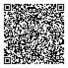 Rarities Antiques Inc QR Card