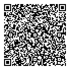 Toa Consulting QR Card