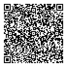 St Brigid's School QR Card